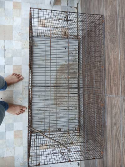 metal cage