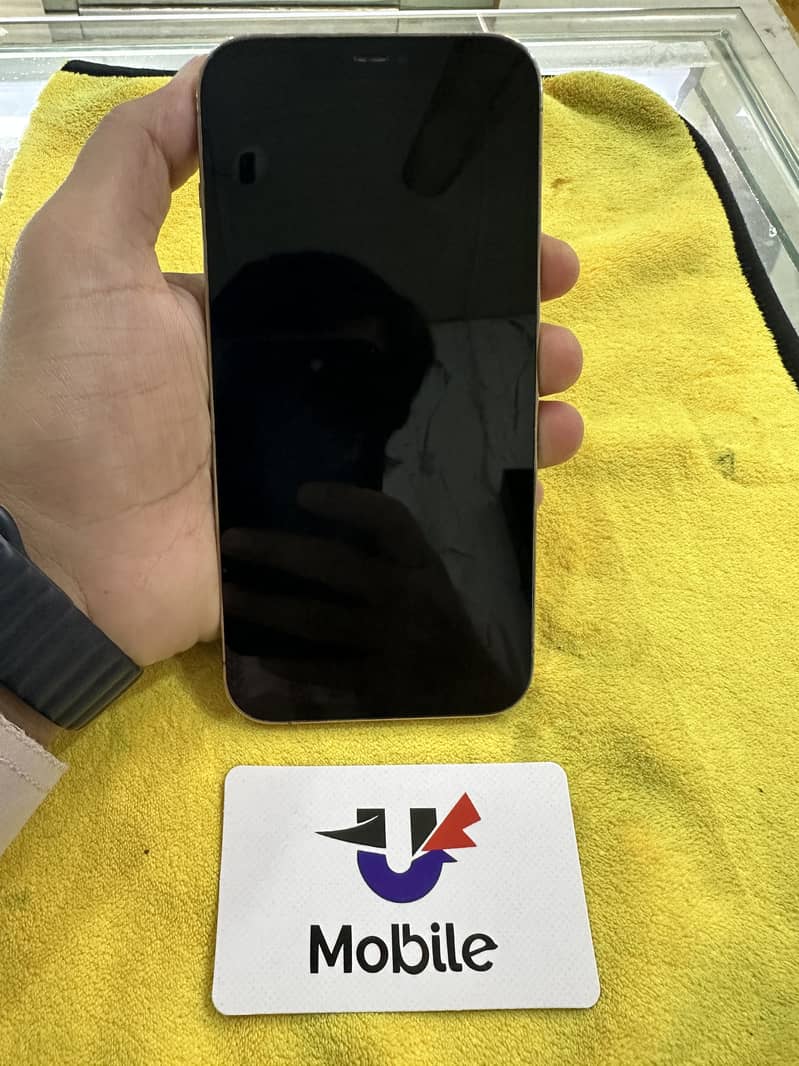 iPhone 12 pro max 2