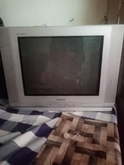 Television