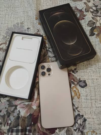 Apple iPhone 12 Pro Max
