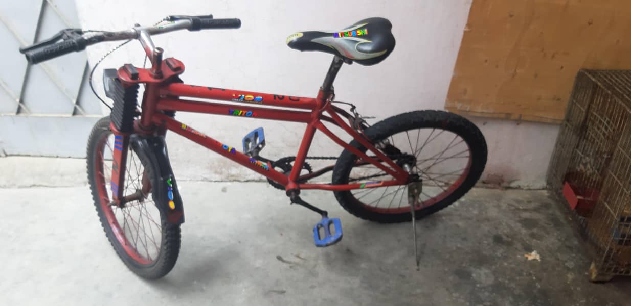 Cycle 4