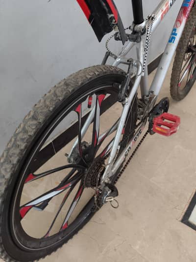 japanies cycle