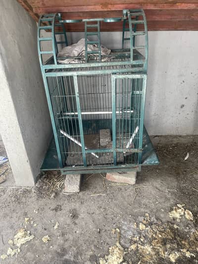 3 iron heavy cage for parrots and hens