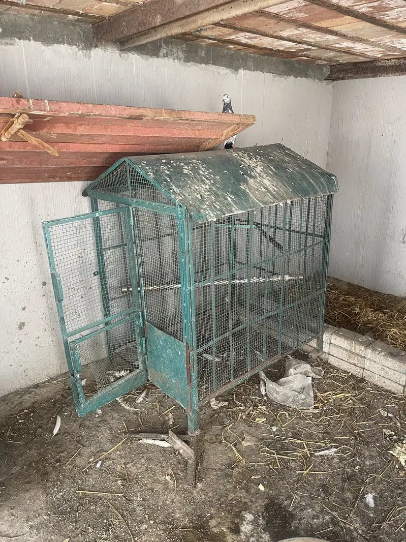 3 iron heavy cage for parrots and hens — photo 3