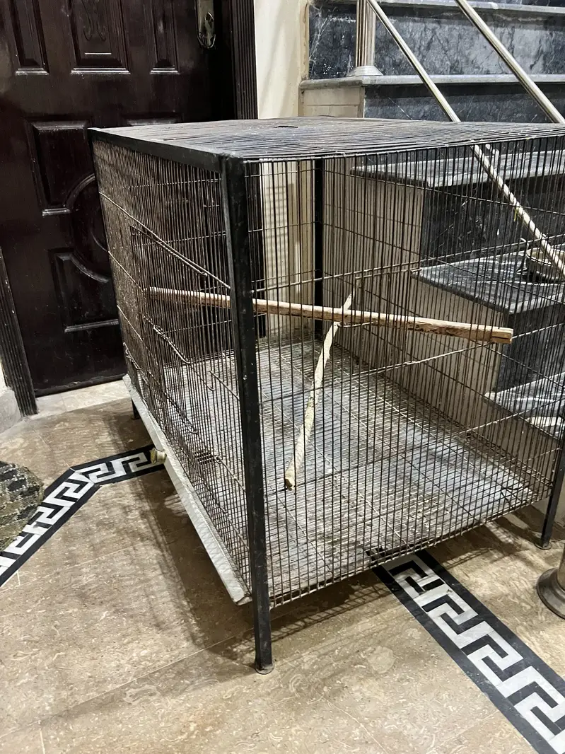 Parrot Cage 3ft x 2ft for Sale — photo 2