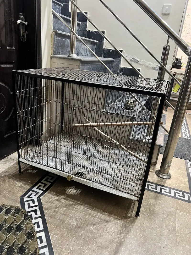Parrot Cage 3ft x 2ft for Sale — photo 3