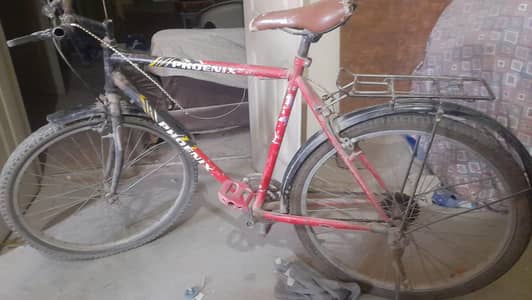 Bicycle for sale
