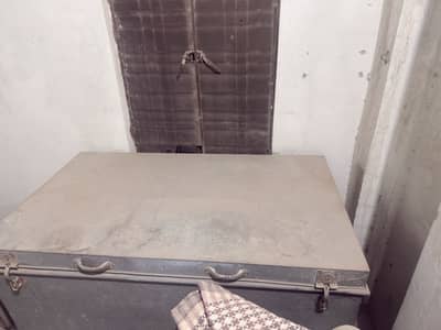 Trunk peyti peti for sell