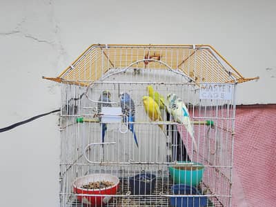 for sale