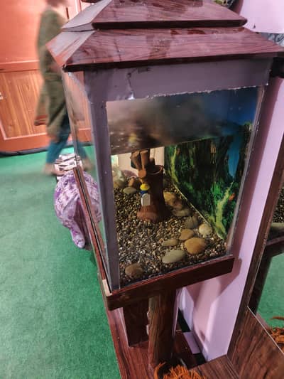 aquarium