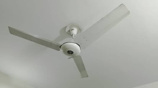 6 CEILING FANS 100% WORKING NEVER REPAIRED