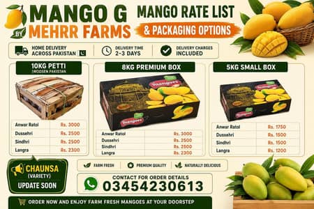 Multani Mangoes  ملتانی آم