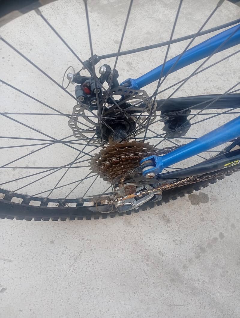 bicycle 2