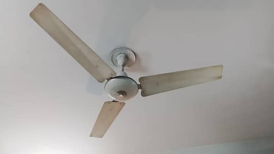 5 CEILING FANS 100% WORKING NEVER REPAIRED
