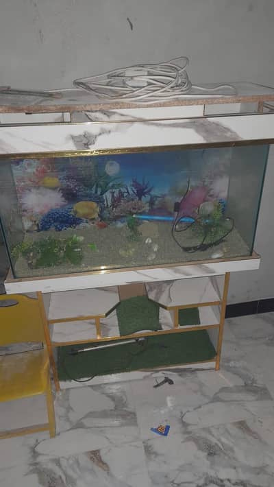 Fish Aquarium