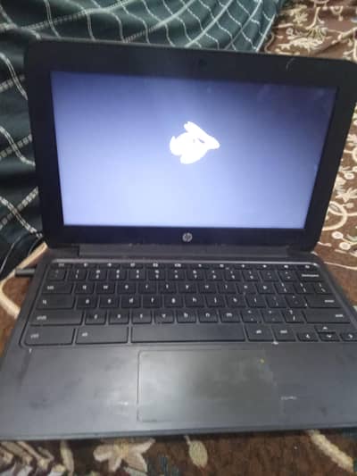 hp Chromebook