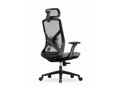 Ultra Ergonomic 3D Mesh Boss Chair - Orthopedic Back Support for Long