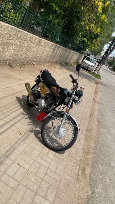 Honda Gold CG 125 (2025)