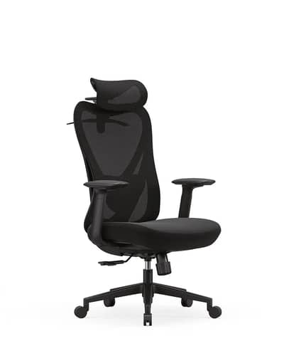 Luxury Executive Computer Chair with Lumbar Matrix & Built-in Coat Han