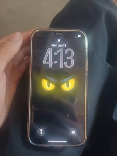 Apple iPhone 12 Pro
