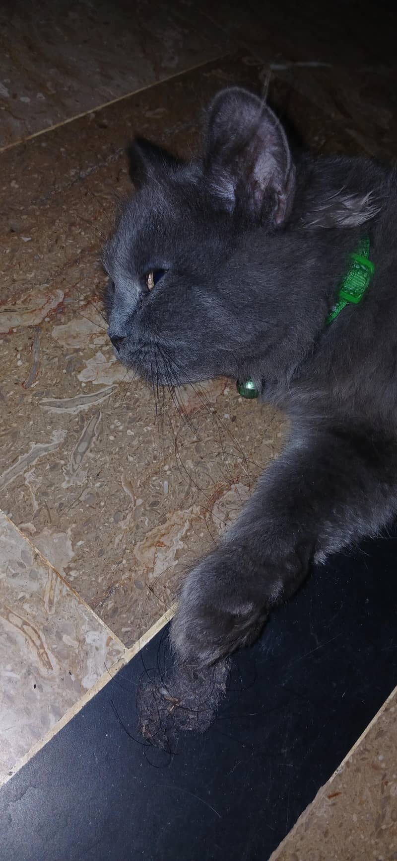 catss 1
