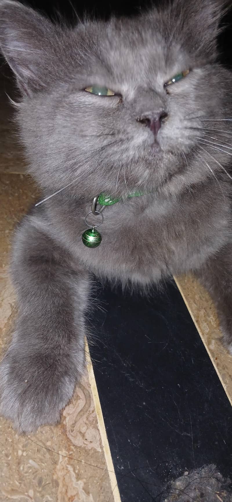 catss 2