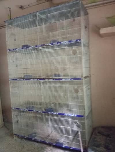 cage for sale 6*4*1.5 size