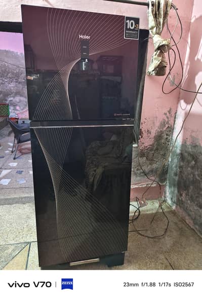 Haier 398IF Colour Red