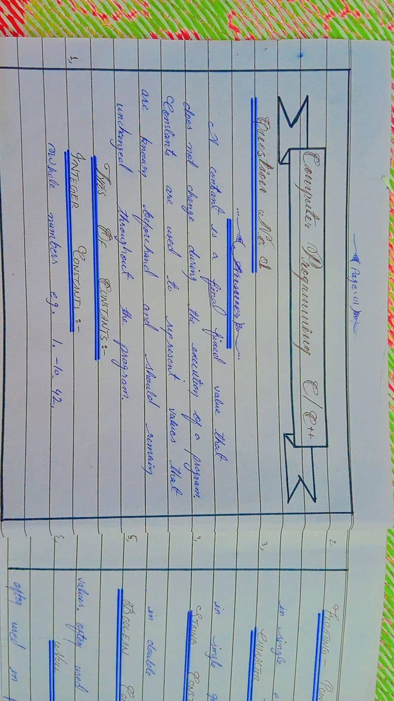 Professional Practical Notebook & Assignment Writing 0