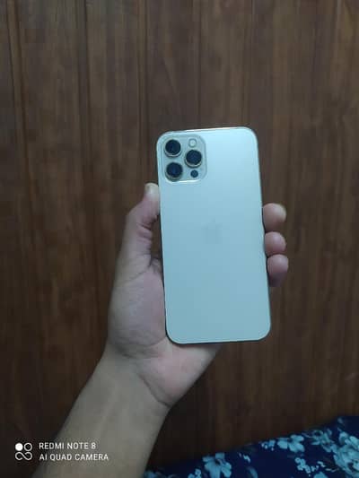Apple iPhone 12 Pro Max