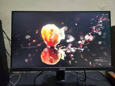 75hz gaming ips Asus gaming led with speakers