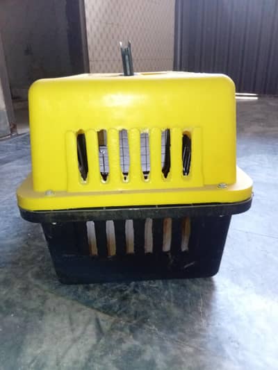Cats Cage