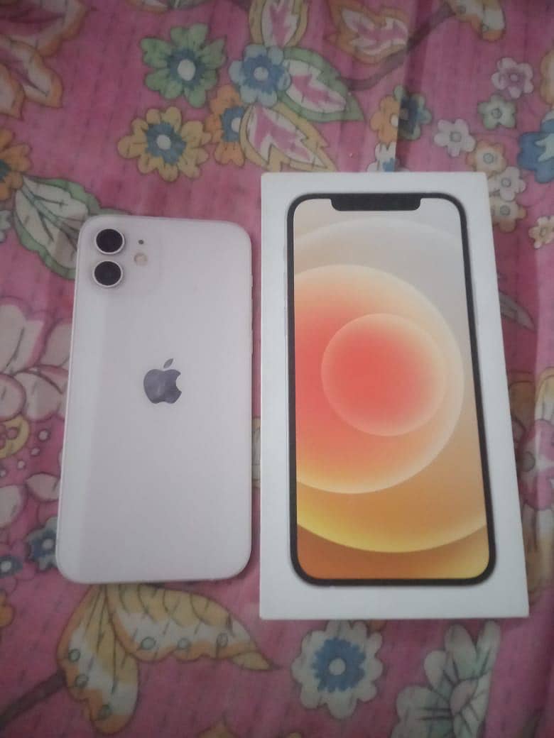 Apple iPhone 12 2
