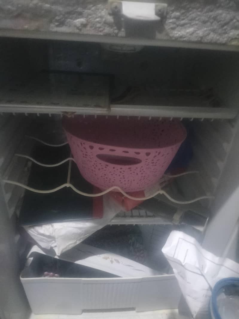 medium size 2