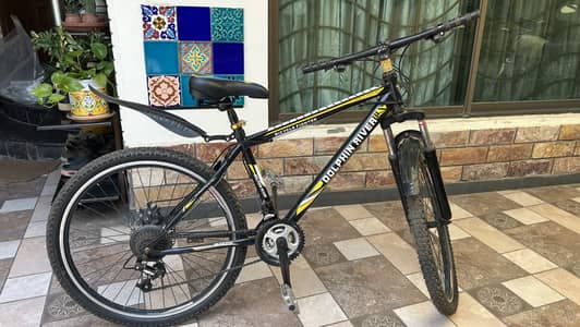Mountain bike — geared