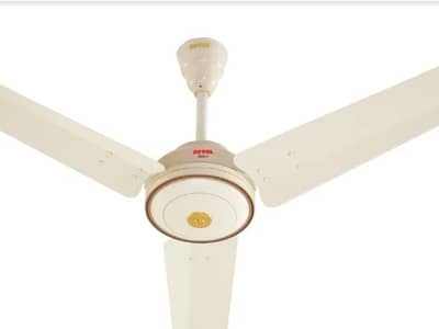 sale celling Royal Fan