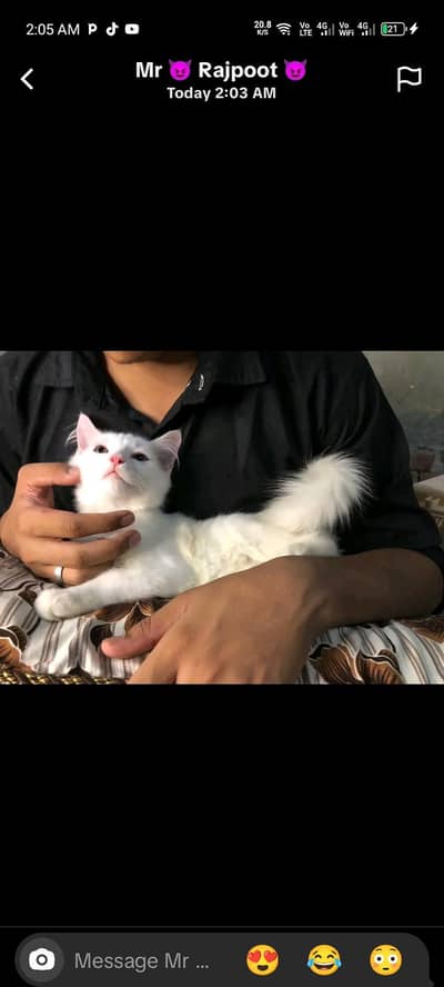 Persian