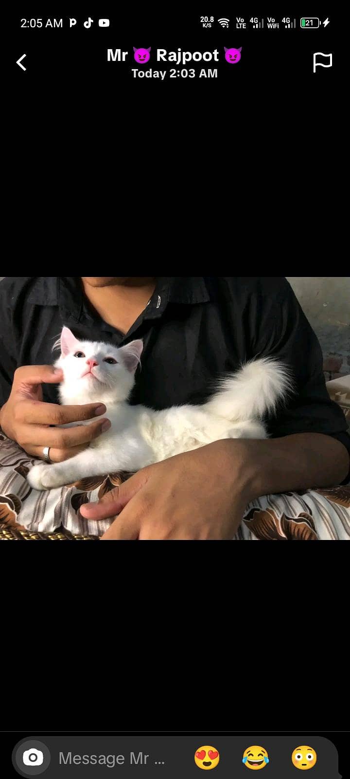 Persian 0