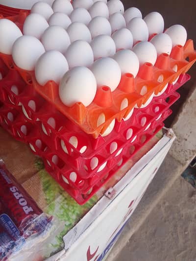 eggs for sell