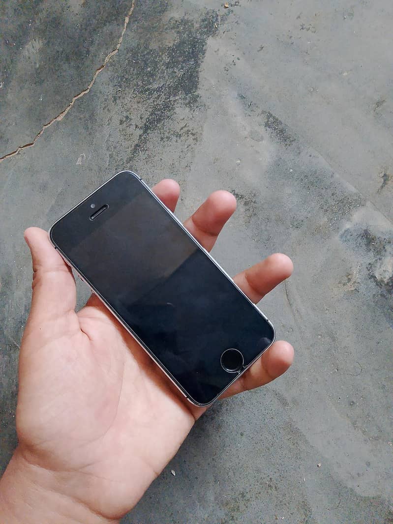 Apple iPhone 5s 1