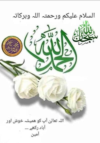 Zafar Abbas Shah 