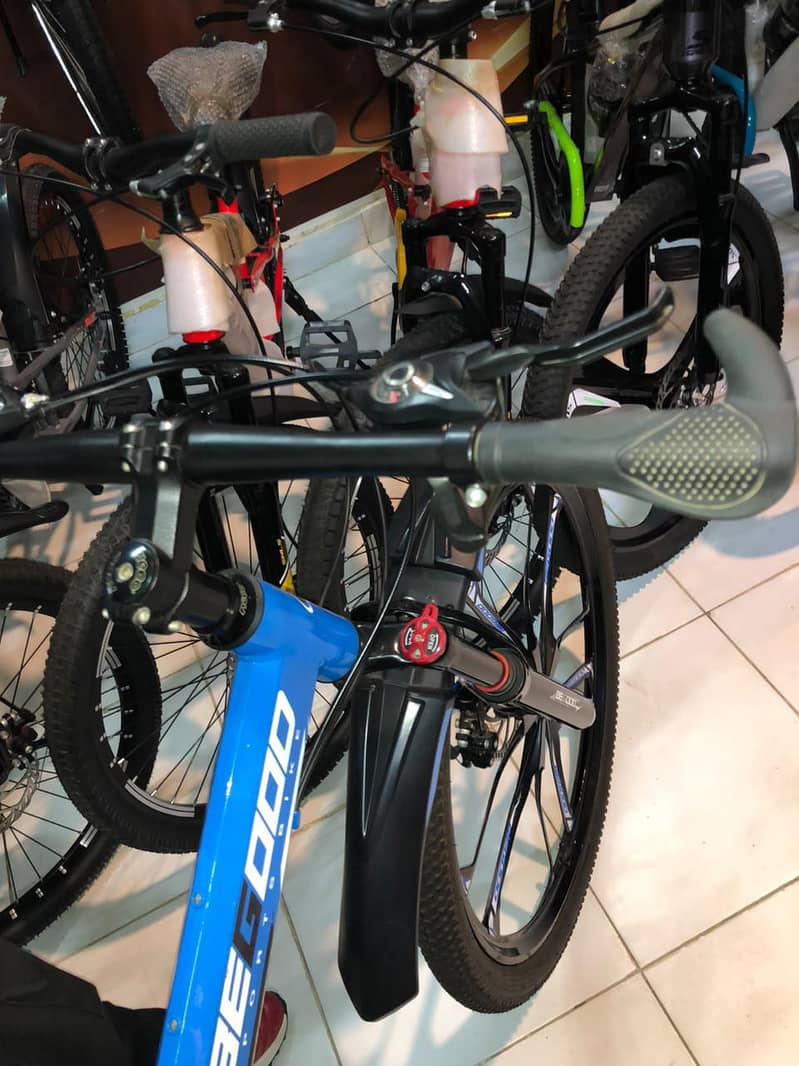 Foldable Bicycle 1