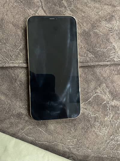Apple iPhone 12 Pro Max