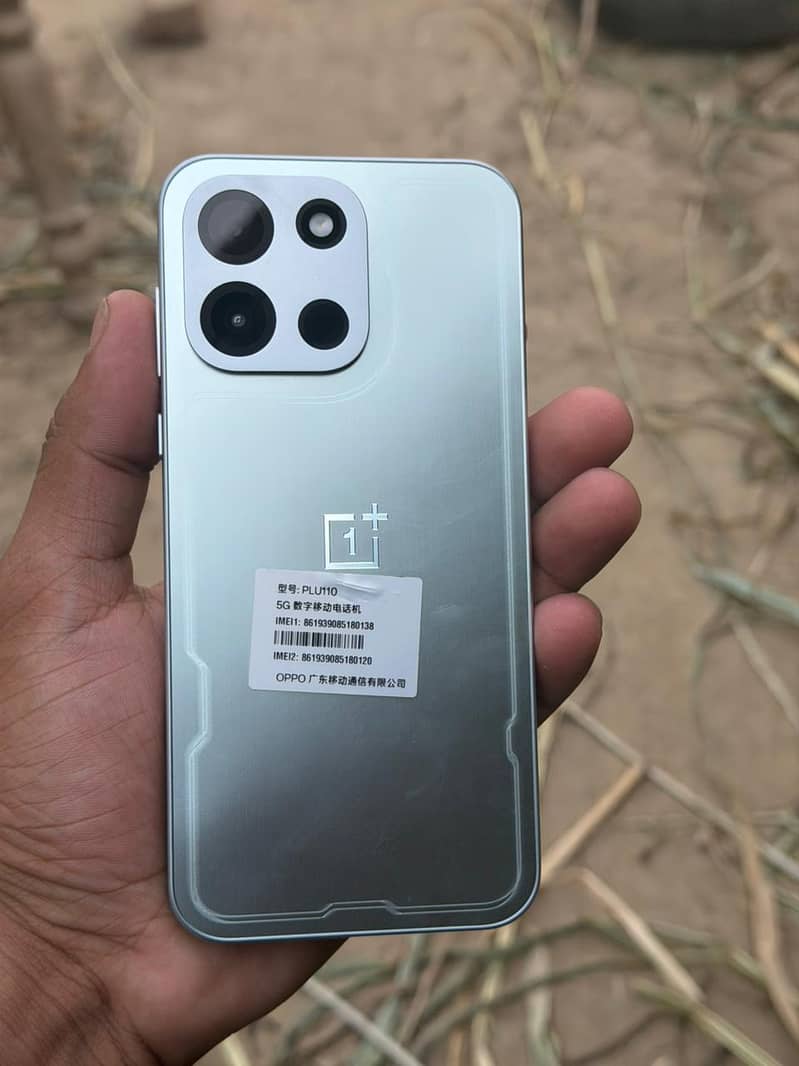 One Plus Other Model 2
