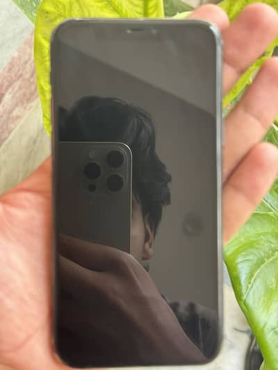 Apple iPhone 11 Pro jv