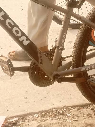 Cycle