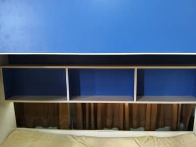 Bunk bed for girl and boy with shelf's