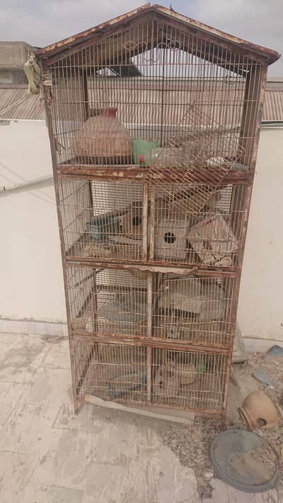 birds cage with 7 partition