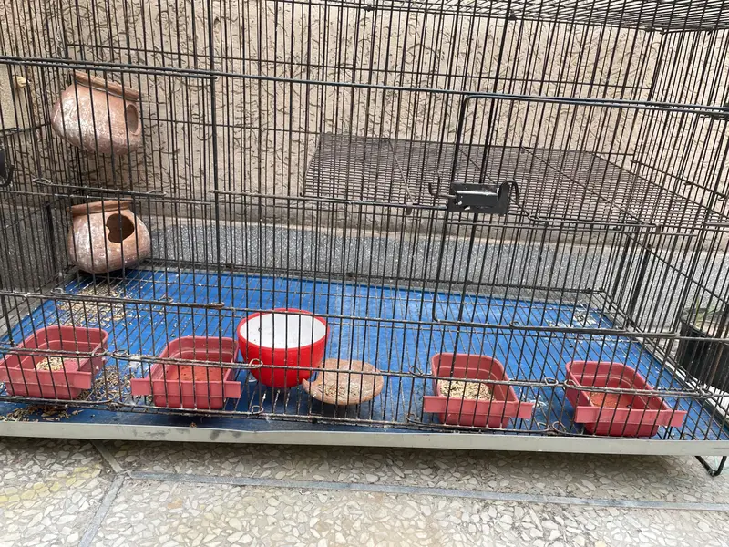 Cage for parrots — photo 2