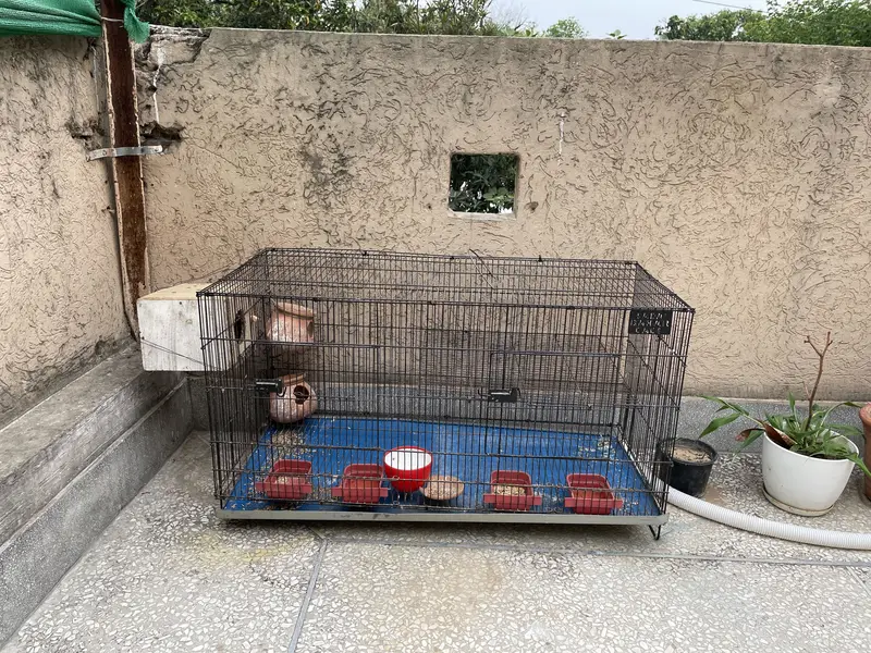 Cage for parrots — photo 3